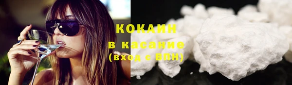 индика Абинск