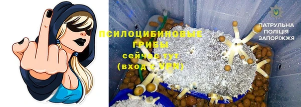 индика Абинск