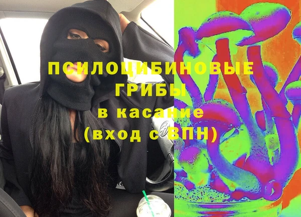 apvp Абаза