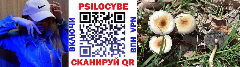 Псилоцибиновые грибы ЛСД  Монино 